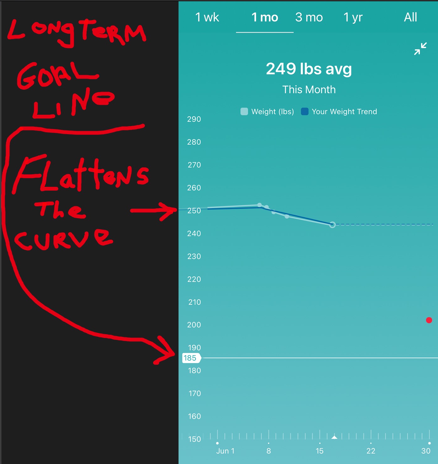 FitBit app shows flatten curves because of long-term goal line